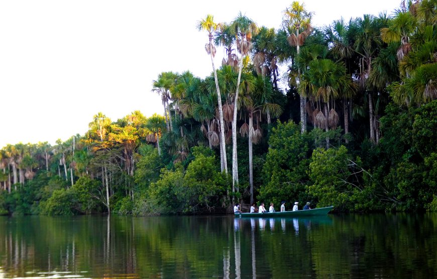 Piranha Tour Tambopata 4 Days