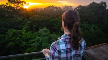 TAMBOPATA — THE ACCOMPLICE OF YOUR JOURNEY