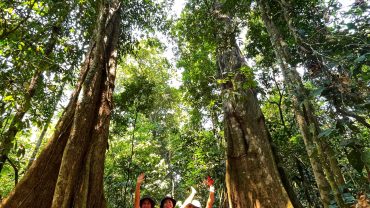 EXPLORE NATURE IN THE JUNGLE OF PUERTO MALDONADO