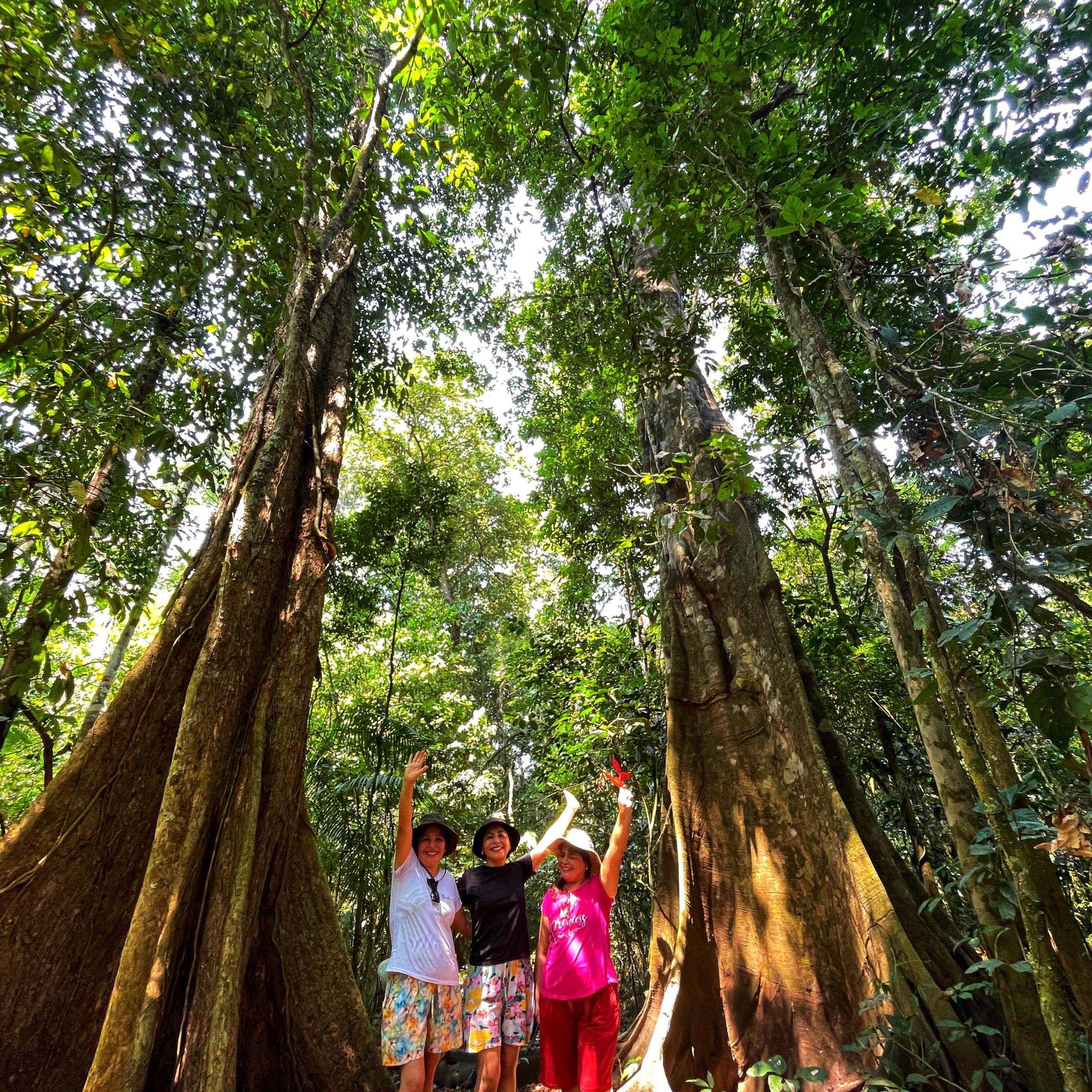 EXPLORE NATURE IN THE JUNGLE OF PUERTO MALDONADO