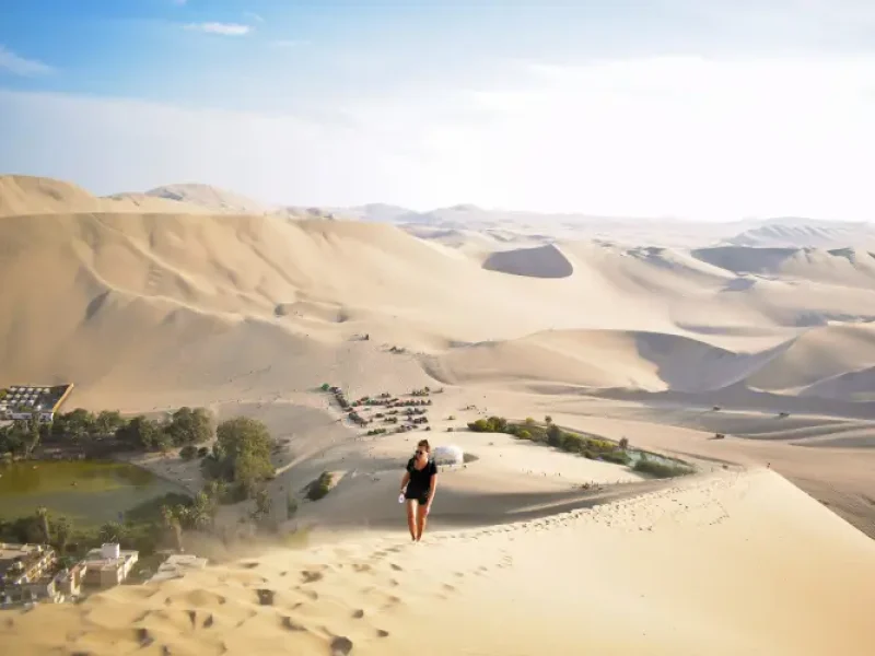 FROM LIMA: FULL DAY PARACAS AND ICA